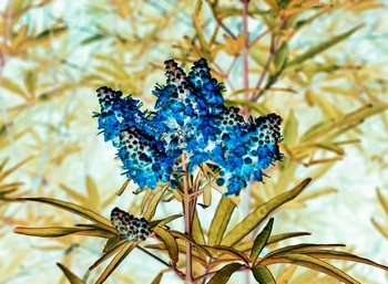F 040A